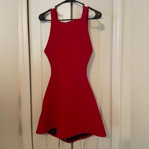 ZARA skater dress